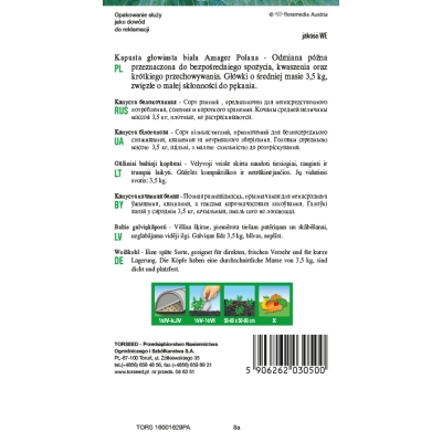 Kapusta Głowiasta Amager Późna nasiona